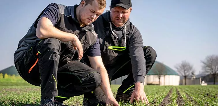 Pour illustrer le secteur de l'agriculture, Altonéo utilise une image de deux agriculteurs examinant la terre de leur exploitation.