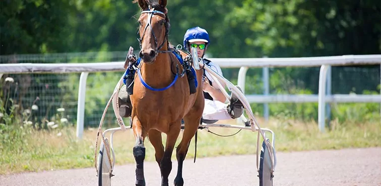 Pour illustrer le secteur des activités équines, Altonéo utilise l'image d'un jockey sur un cheval.