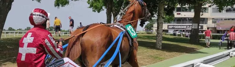 Évènement équin : 48H au trot le 3 juin 2023 à Meslay-du-Maine (53)
