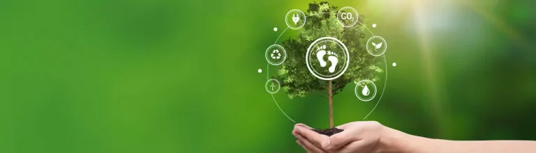 Tout comprendre sur le bilan carbone