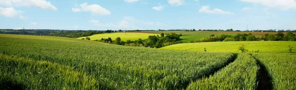 Loi sempastous - changements dans l'accès au foncier agricole