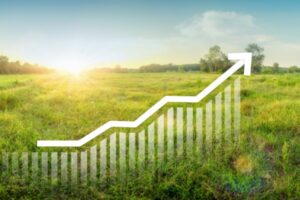 Taxe sur la cession à titre onéreux d’un terrain nu devenu constructible : du nouveau pour 2025 !