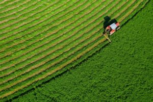 Souveraineté alimentaire : du nouveau ?