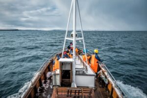 Distribution de carburant : un suivi à assurer…
