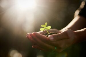 Agriculture : précisions sur l’éligibilité aux ICHN