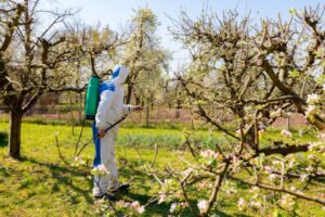 Commerce de fruits : une nouvelle limitation à connaître