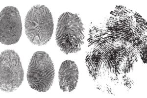 Casier judiciaire et empreintes digitales : quelques nouveautés…