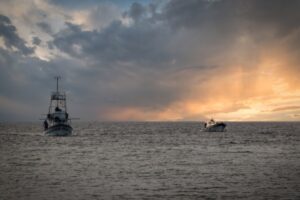 Licence de pêche européenne : rester actif pour conserver ses droits