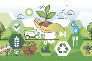 Les principales nouveautés sociales en 2026 pour le secteur agricole