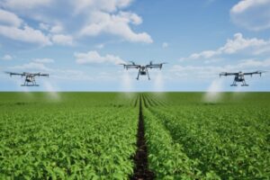 Produits phytosanitaires : détails sur la pulvérisation par drone