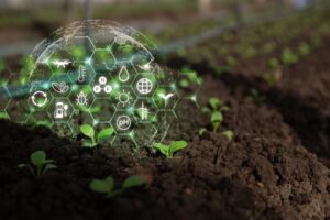 Agriculture : qui pilote la stratégie nationale d’installation et de transmission ?