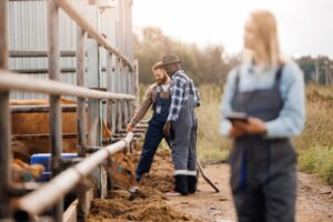 Maladies professionnelles agricoles : les conditions de diagnostic sont simplifiées