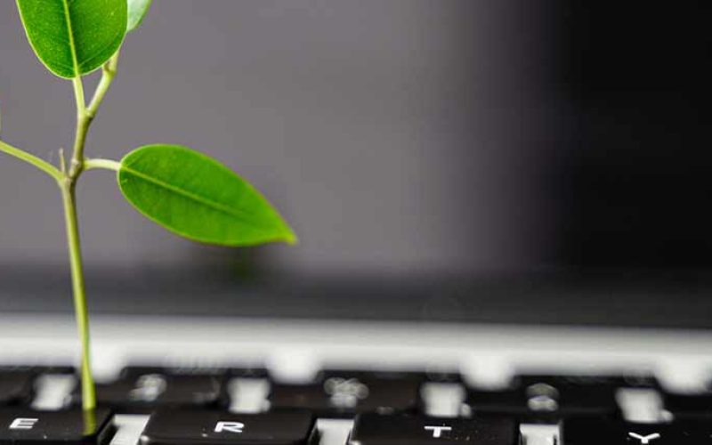 20230608_BAN_ART_1500x430px_GREEN_IT_ENTREPRISE