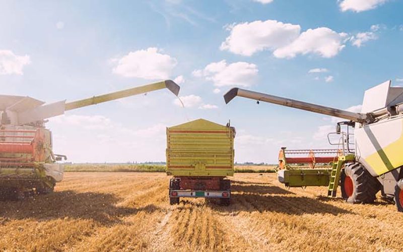 ban-article-1500x430_conv_collective_agri_foret